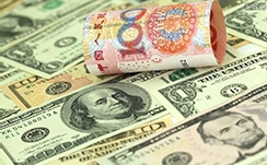 潮汕卤鹅是什么梗